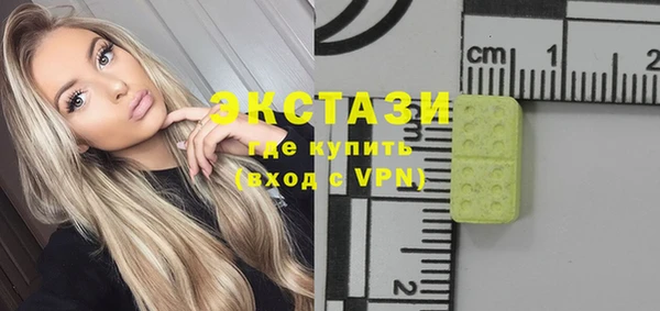индика Арсеньев
