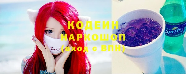 индика Арсеньев
