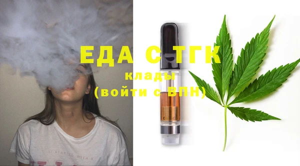 индика Арсеньев