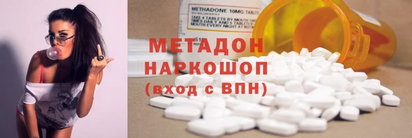 индика Арсеньев