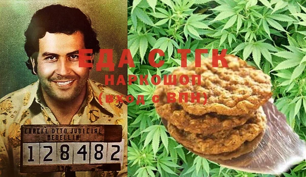индика Арсеньев