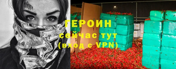 индика Арсеньев