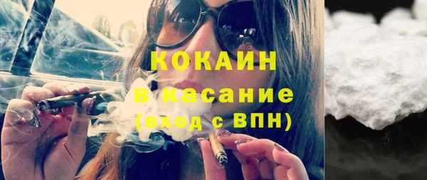 индика Арсеньев
