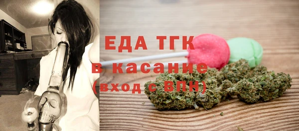 индика Арсеньев